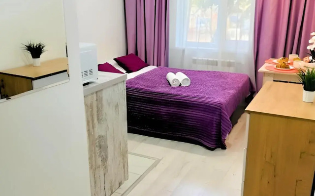 Апартаменты - Cтудия №1