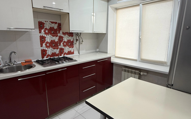 Апартаменты Вместительная двушка на проспекте Ленина