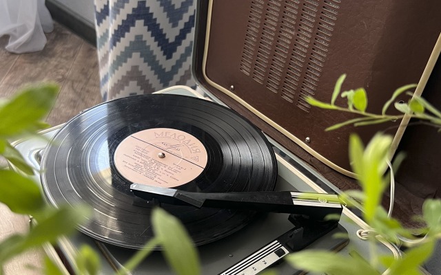 Lampovaya Kvartira Vinil Flat