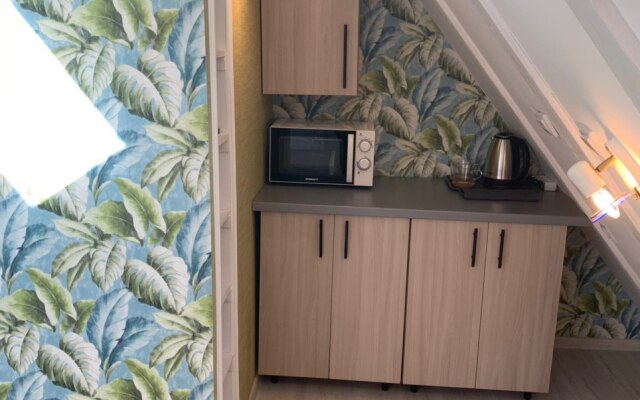 Частный Дом Мансарда на Садовой