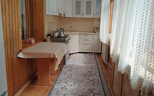 V Tsentre Private house