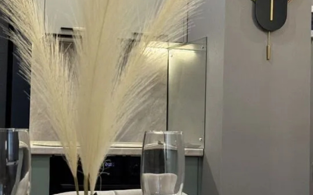 Апартаменты с новым ремонтом на Ивана Беличенко 92к4