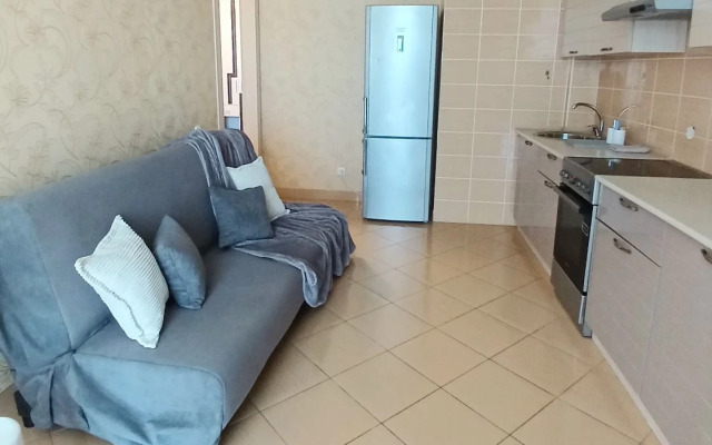 Квартира с видом на центральный стадион