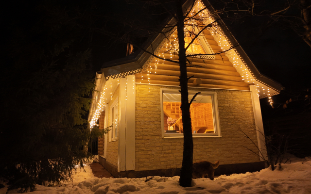 Vasnetsovskiy Domik Guest house