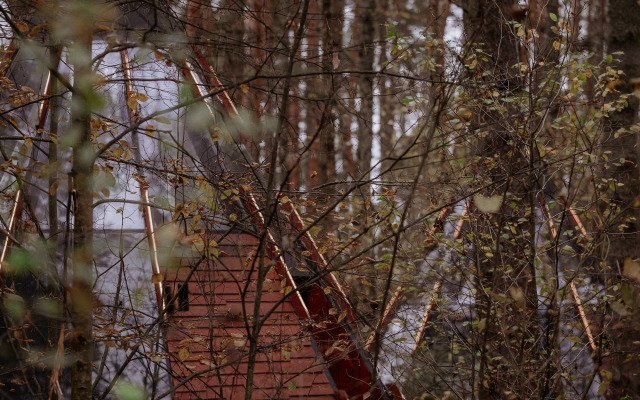 Отель Пайн Ривер