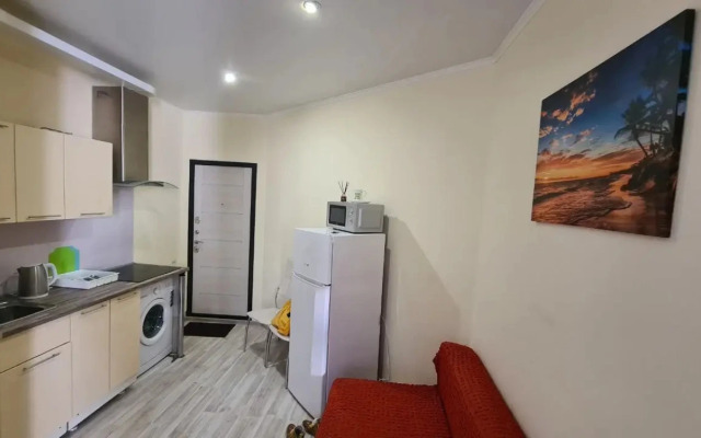 Krokus V Samom Tsentre Sochi Flat