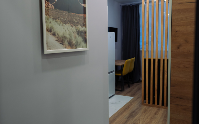 SV Guseva studiya Venera Apartments