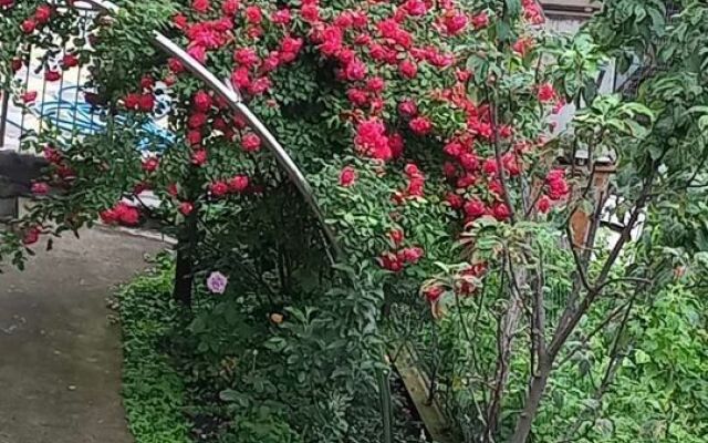 Квартира на Дмитрия Донского 2А (2)