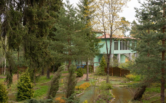 Отель Forest Relax