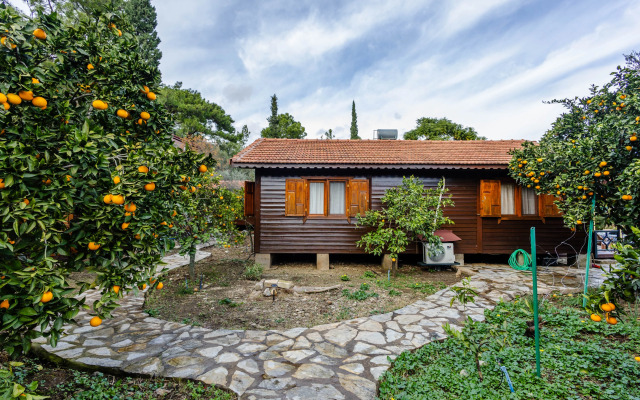 Меблированные комнаты Holiday House dilek çıralı