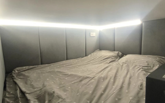 Апартаменты Уютная студия Пушкинской