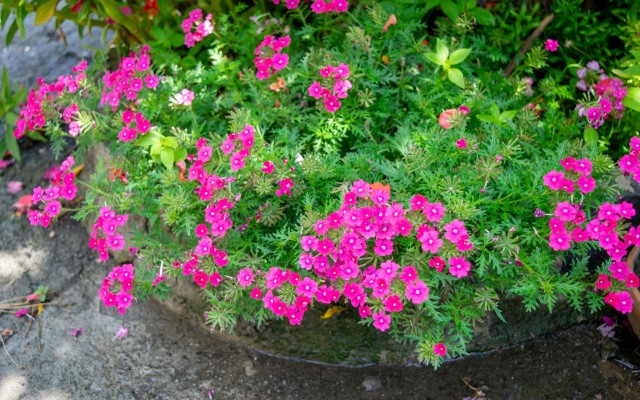 Отель 4 Rooms Boutique