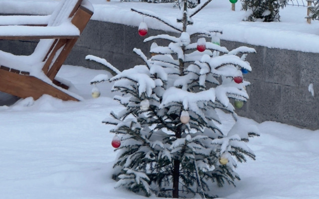 Частный дом у озера