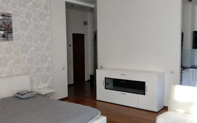 Апартаменты Светлые на Восстания