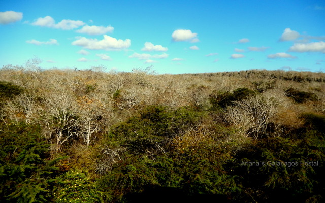 Ariana´s Galapagos Hostel