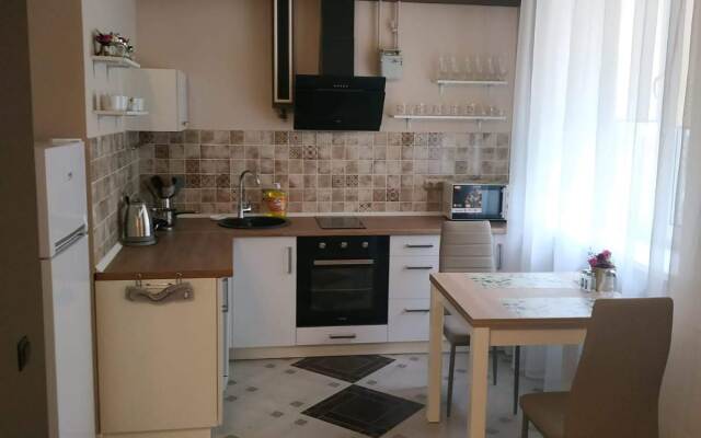 V Tsentre Apartments