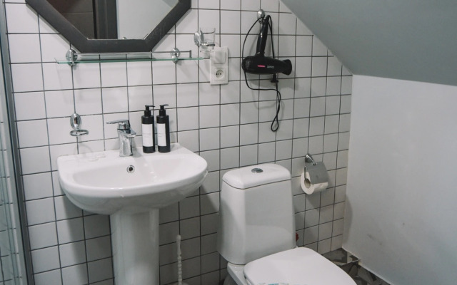 Rooftop Apartments at Rustaveli Avenue Mini hotel