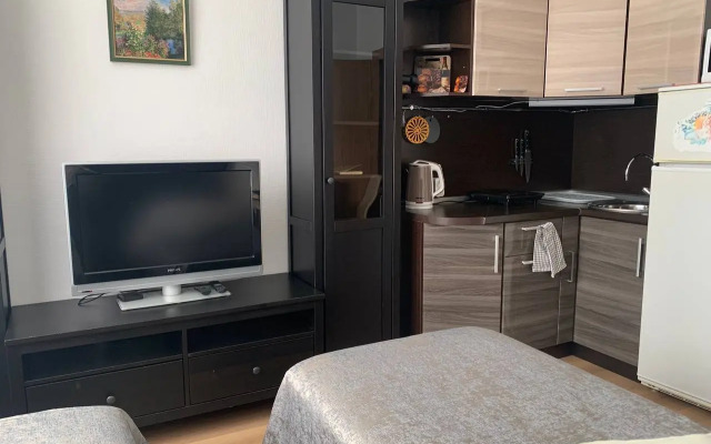 Квартира студия Живи в Песочном на Садовой 83