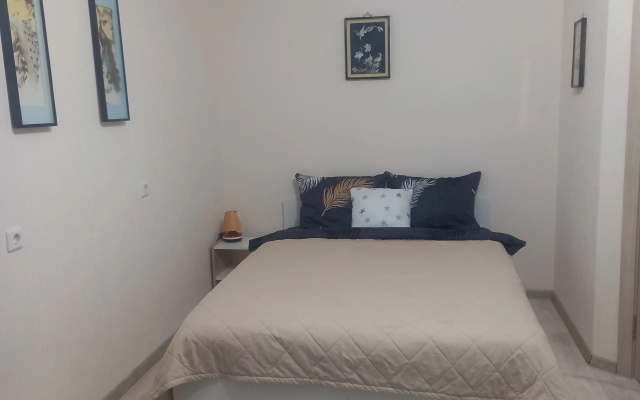 Квартира 1К Аэропорт