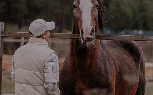 Отель Пайн Ривер