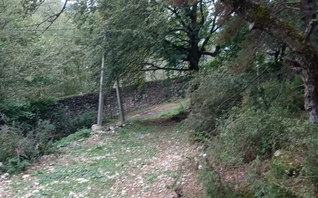 Частный дом Лесная аура