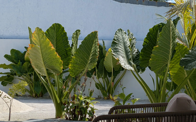 Bed&Breakfast Avi Guesthouse