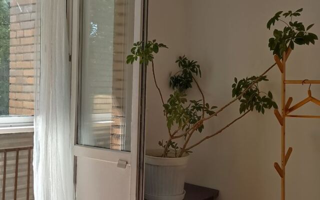 Lemongrass Flat