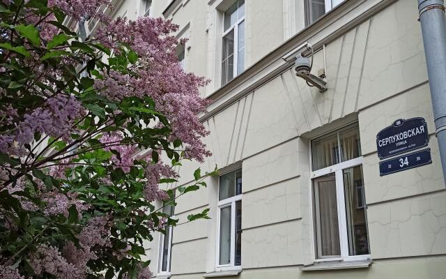 Uyutnaya Mansarda V Tsentre Apartments