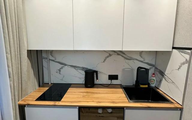 Dvukhkomnatnaya Lyuks Na Zelenoy 7a Flat
