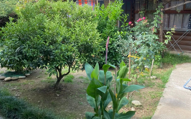 Gostevye Domiki Gudauta Guest House