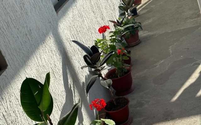 Guest House