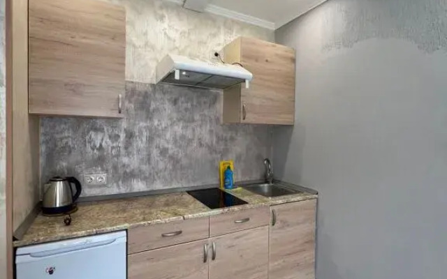 Апартаменты Park Hotel 11