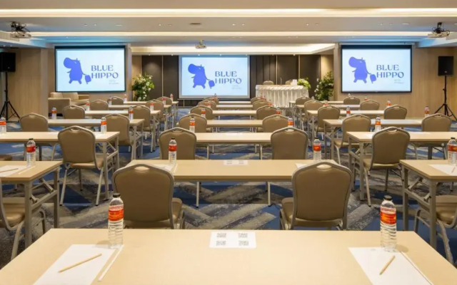 Отель Blue Hippo Hotel