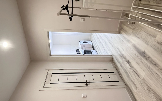 New large one-bedroom apartment on Sovetov Square