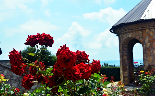Skazka Guest house