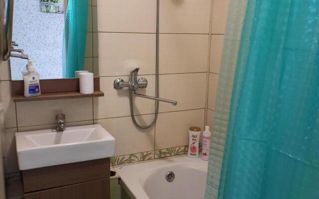 Na beregu Pregoli v Rybnoy derevni Flat