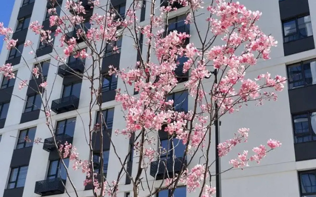 Квартира Aбсолютно Новая Рядом с ЧТЗ с Дизайнерским Ремонтом