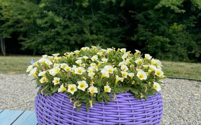 Гостевой дом Играем на высоте