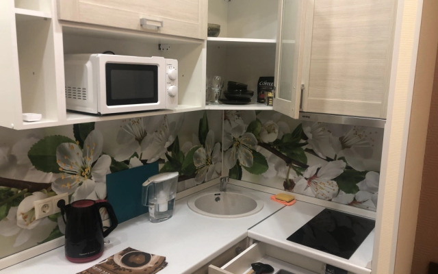 Nedorogie Apartaments Na Smolnoj 44