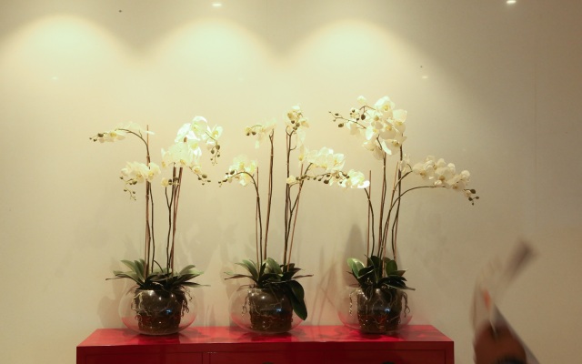 Deccan Serai Hotel