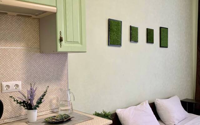 Studiya V Novostroyke Flat