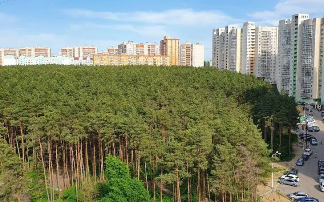 Квартира на улице Антонова-Овсеенко 29