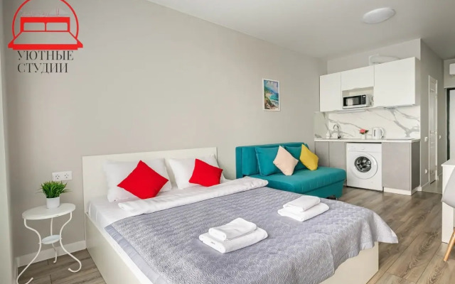 Uyutnaya studiya 2 na Strelkovoj Flat