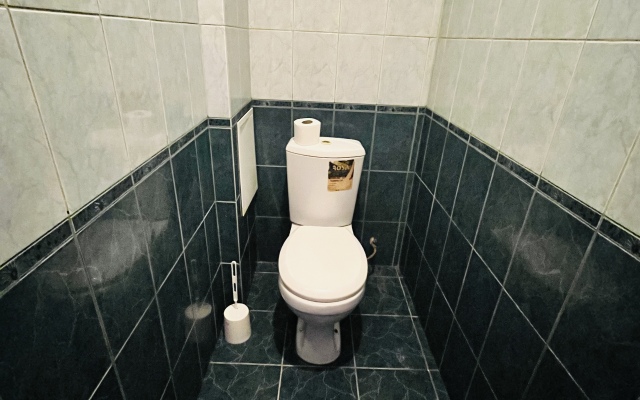 Bolshaya Kvartira V Tsentre Goroda Apartments