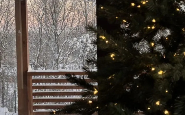 Частный дом ИГМА Сосновские горки 8-местный