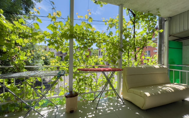 Delfin na Chernomorskoy Guest House