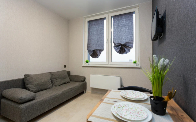 Квартира 1 комнатная в центре Долгопрудного