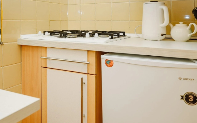 Pavel&Olga Wonderful Duplex in the center of Pskov Apartments