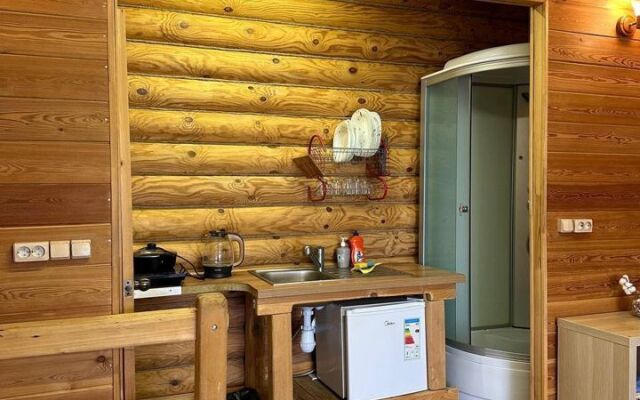 Частный дом на Волге 1