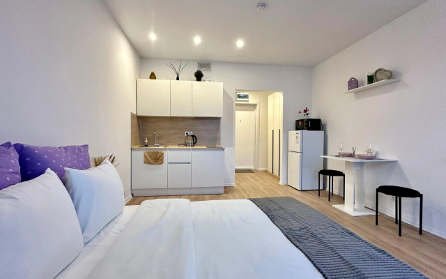 Апартаменты Истоман Студия вид на пруд